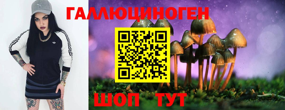 Боровичи  Галлюциногенные грибы GOLDEN TEACHER  Псилоцибиновые грибы GOLDEN TEACHER  Вход с VPN 